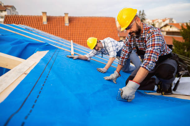 Best Best Roofing Contractors  in Madison Heights, MI