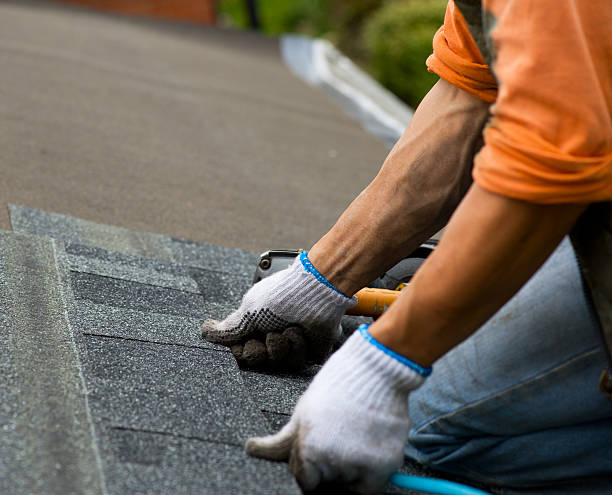 Best Roof Restoration Services  in Madison Heights, MI