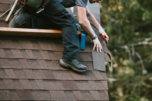 Best Storm Damage Roof Repair  in Madison Heights, MI